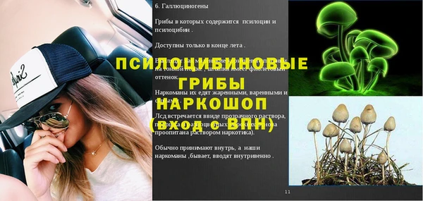 ешки Абдулино